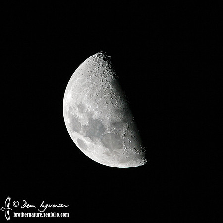 Quarter Moon