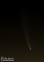 McNaught Comet