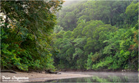 Daintree River