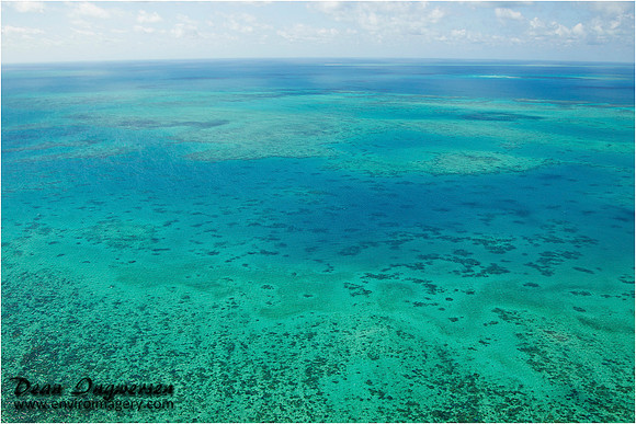 Arlington Reef