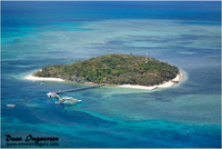 Green Island