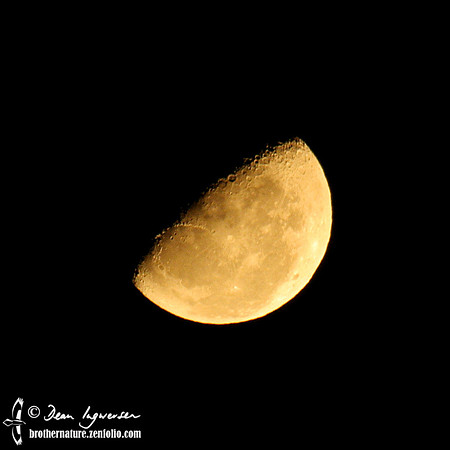 Waning Quarter Moon through smoke haze