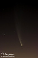 McNaught Comet
