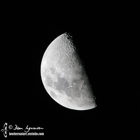Quarter Moon