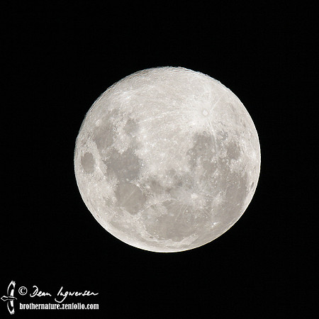 Full Moon