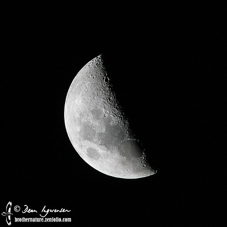 Quarter Moon