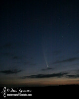 McNaught Comet in dusk sky